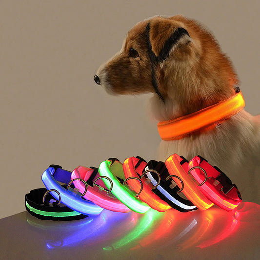 Coleira LED Ajustável para Cães – Visível à Noite